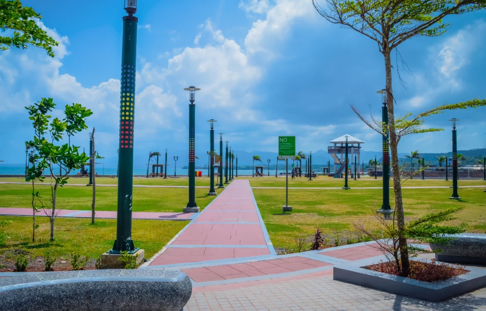Sawangan Park in Legazpi Pictures